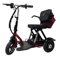 Электротрицикл Elbike Адъютант Twix 350 A2 (2x350W 48V 20Ah) Trike